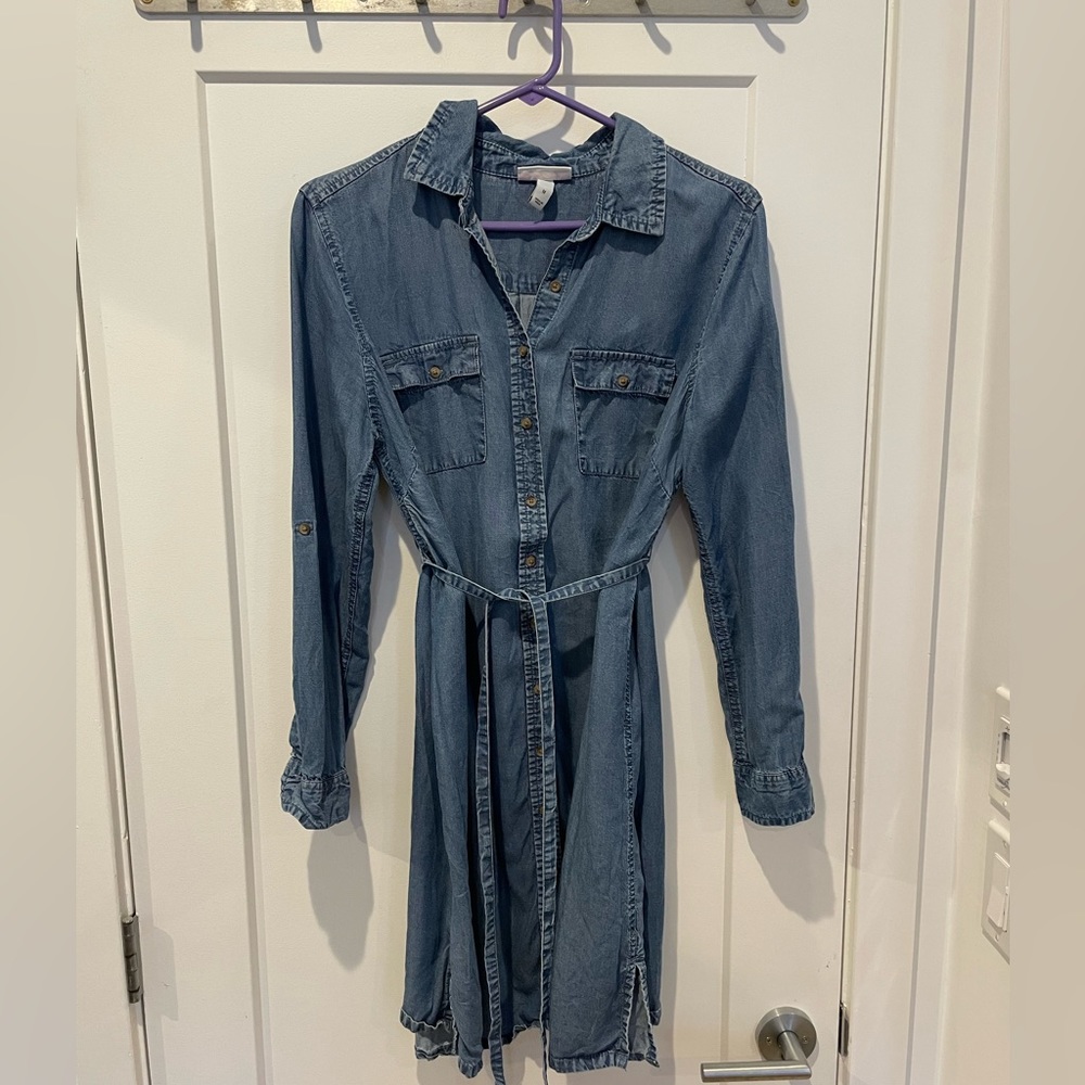 Liz Lange Maternity Jean Dress